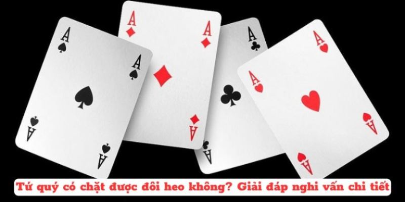 Một số thông tin cơ bản về tứ quý có chặt được đôi heo không?