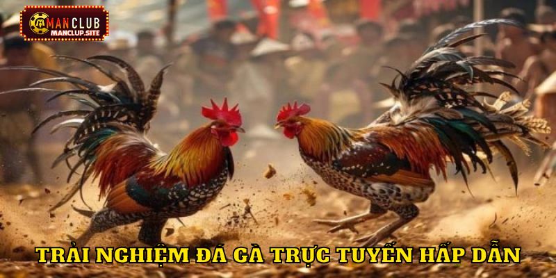 Ưu điểm trải nghiệm đá gà trực tuyến